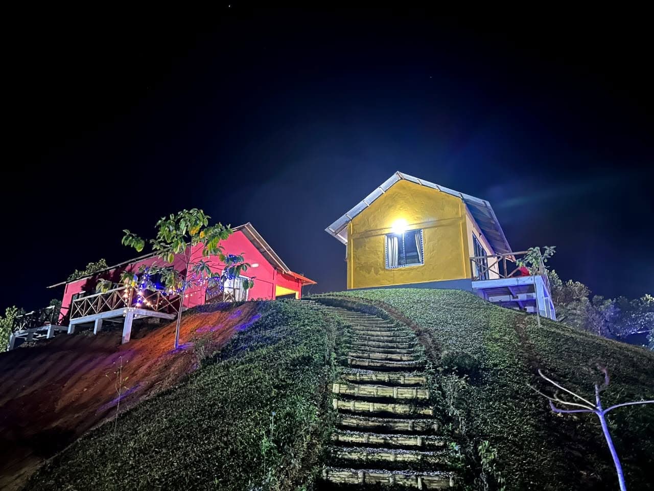 Two hillside cottages lit up at night — a glowing yellow gable cottage with a corner balcony and a red-pink cottage with a white railed veranda — above a stepped path cut through tea bushes