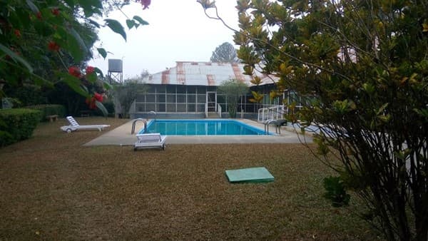 The outdoor swimming pool at Sreemangal Tea Resort and Museum with sun loungers, in front of the rust-roofed bungalow